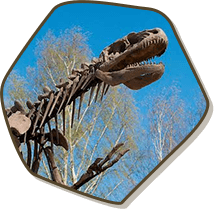 main-dino-2